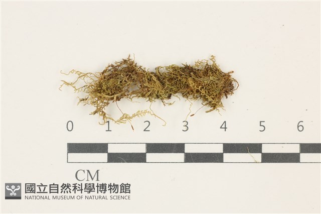 登錄號:B00009516藏品圖，第1張