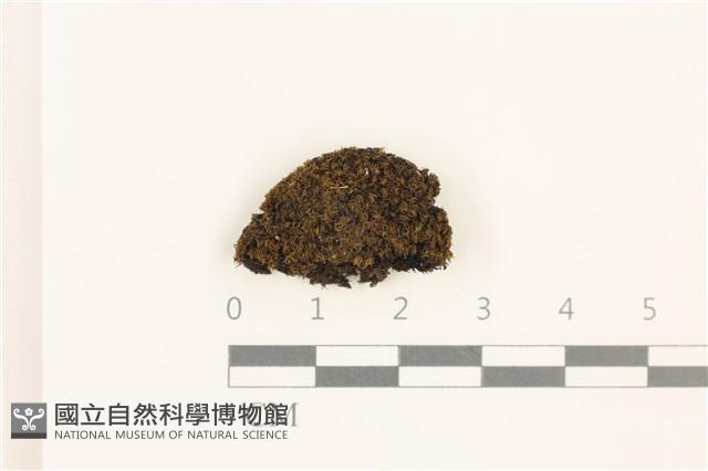 登錄號:B00015516藏品圖，第1張