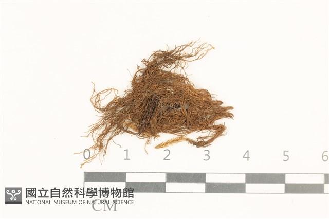 登錄號:B00018416藏品圖，第1張