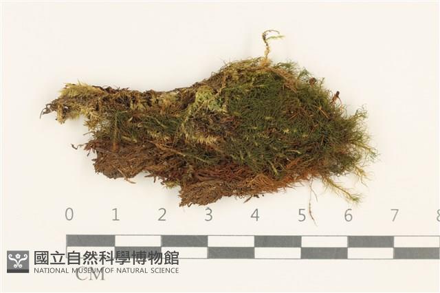 登錄號:B00013416藏品圖，第1張