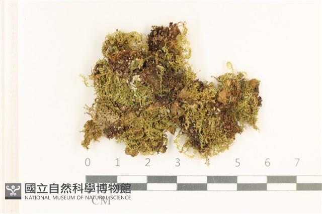 登錄號:B00005316藏品圖，第1張