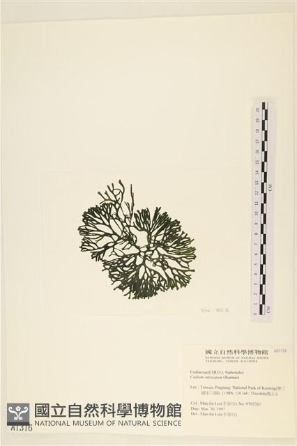 登錄號:A00001316藏品圖，第3張