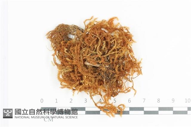 登錄號:B00004716藏品圖，第1張