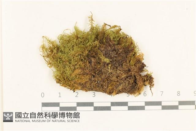 登錄號:B00021716藏品圖，第1張