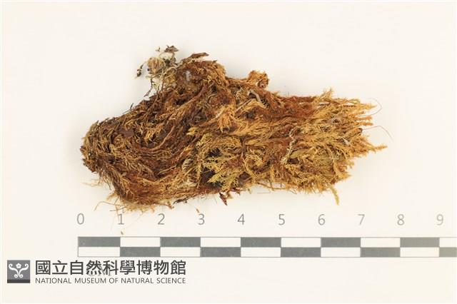 登錄號:B00013716藏品圖，第1張