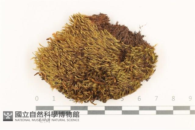 登錄號:B00003296藏品圖，第1張