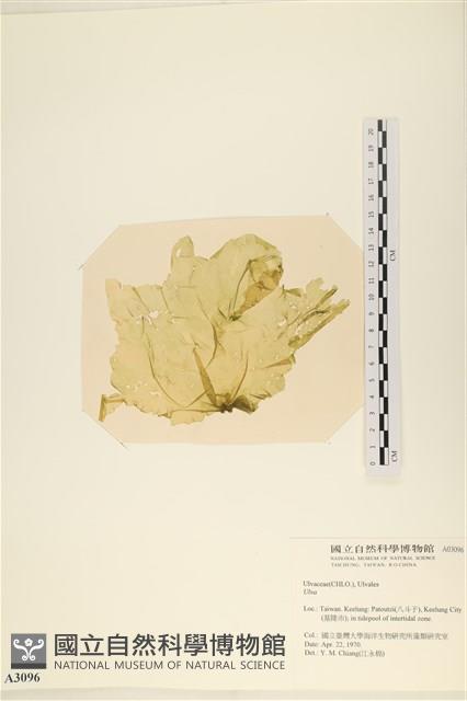 登錄號:A00003096藏品圖，第3張