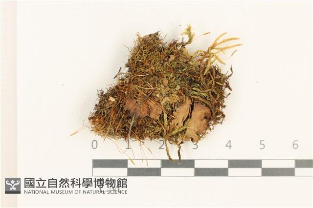 登錄號:B00018196藏品圖，第1張