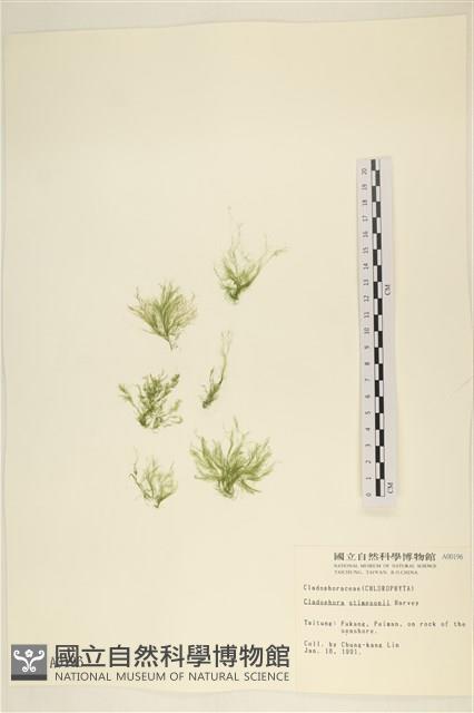 登錄號:A00000196藏品圖，第1張