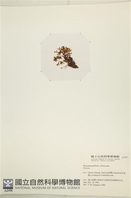 登錄號:A00002496藏品圖，第3張