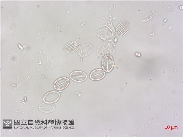 登錄號:A00004496藏品圖，第3張