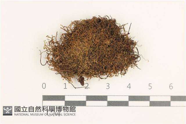 登錄號:B00018396藏品圖，第1張