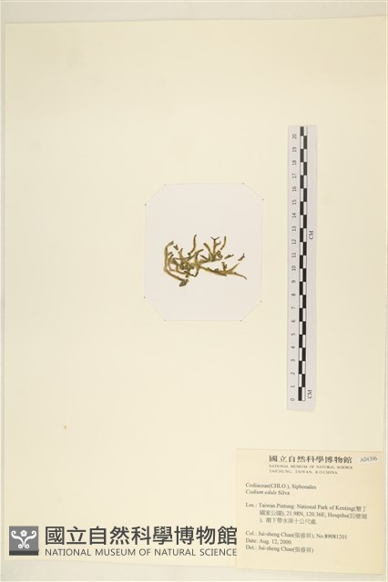 登錄號:A00004396藏品圖，第3張