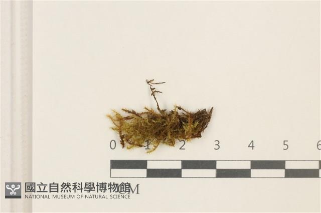 登錄號:B00014646藏品圖，第1張