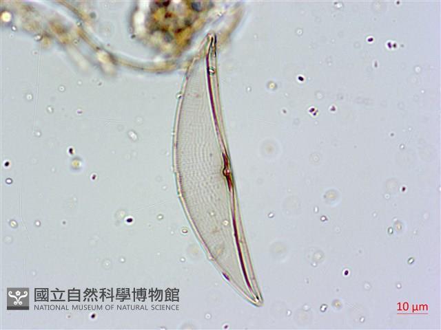 登錄號:A00004646藏品圖，第4張
