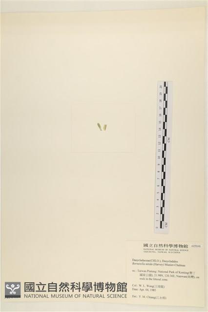 登錄號:A00005046藏品圖，第3張