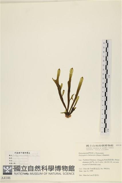 登錄號:A00004146藏品圖，第3張