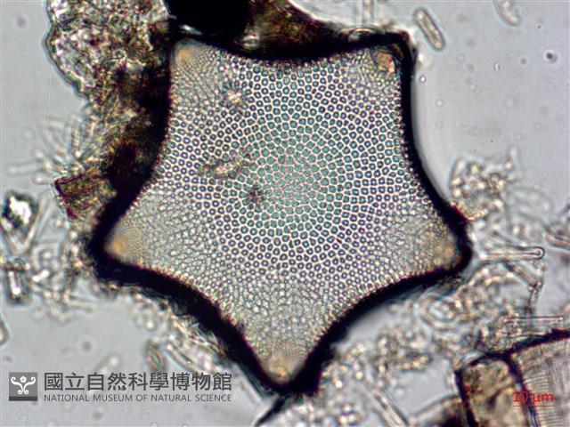 登錄號:A00004546藏品圖，第4張