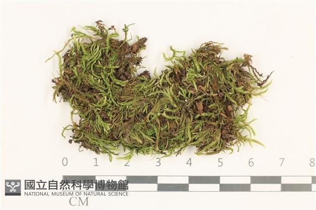 登錄號:B00015546藏品圖，第1張