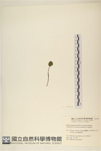 Accession Number:A00001446 Collection Image, Figure 3, Total 3 Figures