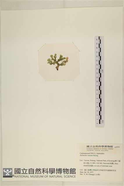 登錄號:A00004946藏品圖，第3張