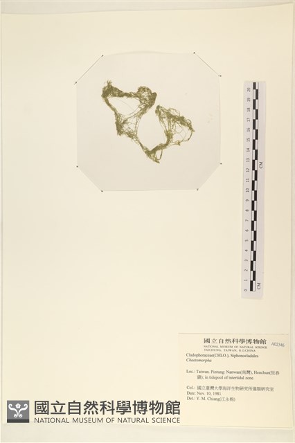 登錄號:A00002346藏品圖，第3張