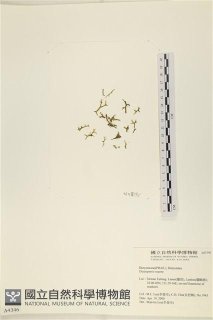 登錄號:A00004346藏品圖，第1張