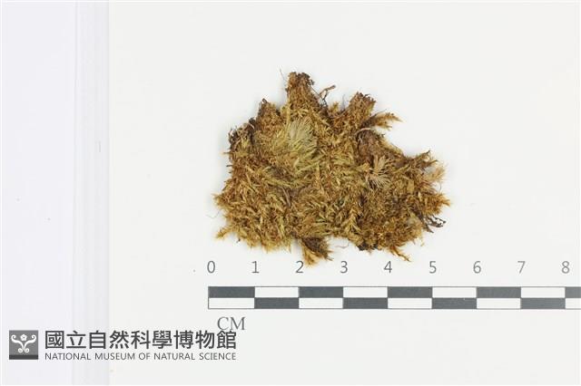 登錄號:B00000346藏品圖，第1張