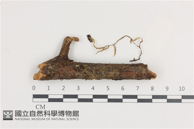 登錄號:B00004666藏品圖，第1張