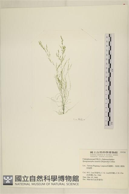 登錄號:A00004266藏品圖，第3張