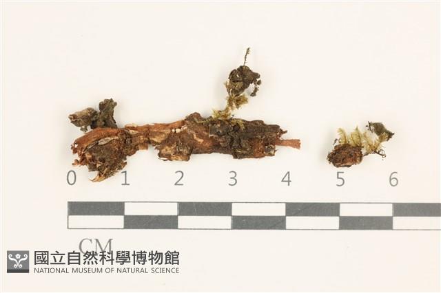 登錄號:B00015166藏品圖，第1張