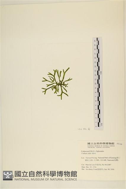 登錄號:A00001166藏品圖，第3張