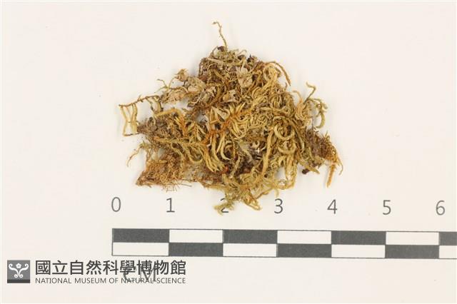 登錄號:B00009566藏品圖，第1張