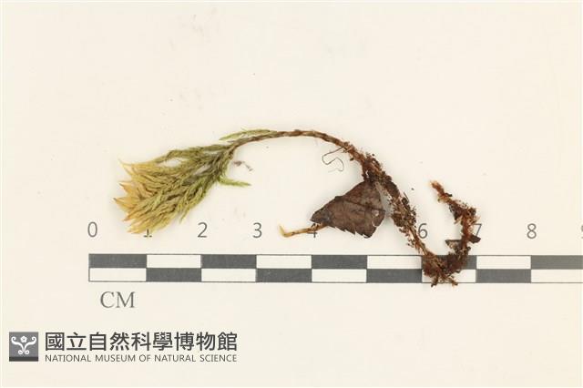 登錄號:B00017566藏品圖，第1張