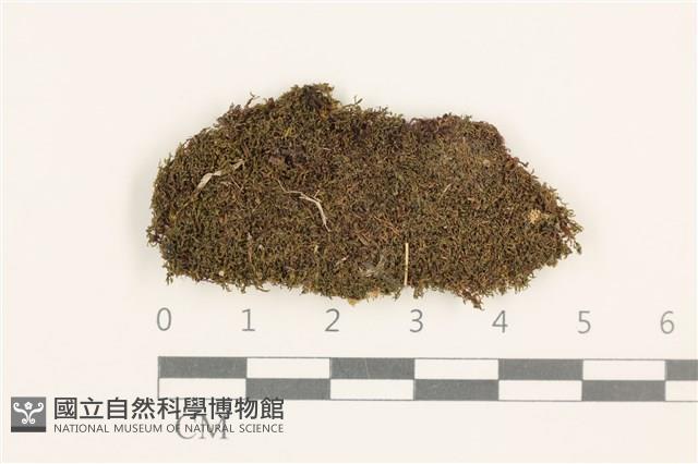登錄號:B00015566藏品圖，第1張
