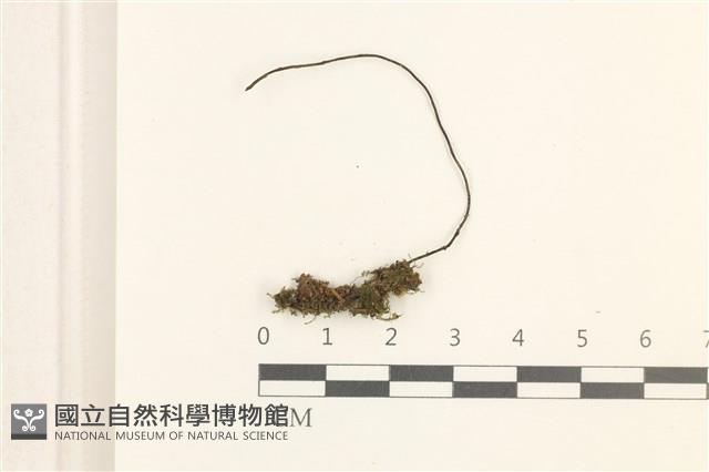 登錄號:B00012466藏品圖，第1張