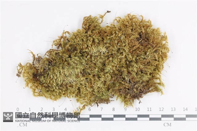 登錄號:B00008466藏品圖，第1張