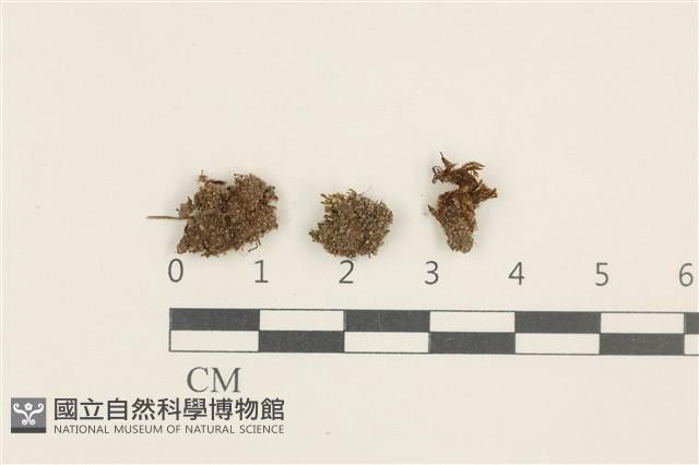 登錄號:B00014466藏品圖，第1張