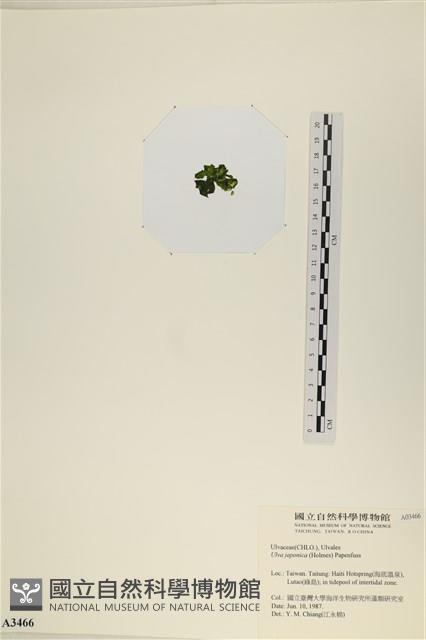 登錄號:A00003466藏品圖，第3張