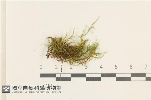 登錄號:B00020366藏品圖，第1張