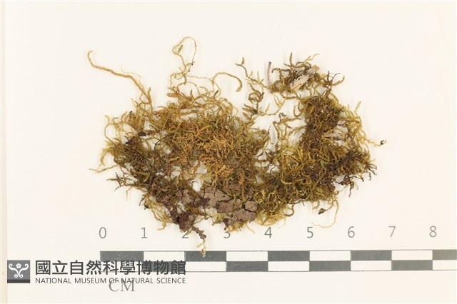 登錄號:B00008606藏品圖，第1張