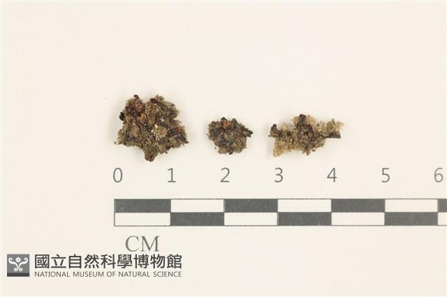 登錄號:B00014606藏品圖，第1張