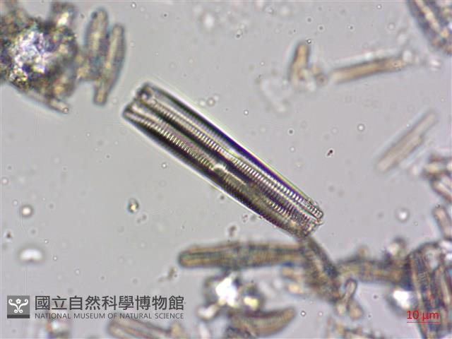 登錄號:A00004606藏品圖，第4張