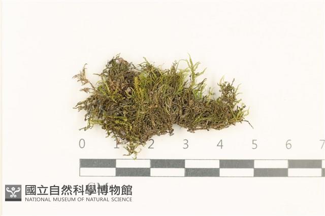 登錄號:B00018206藏品圖，第1張
