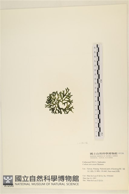 登錄號:A00001206藏品圖，第3張