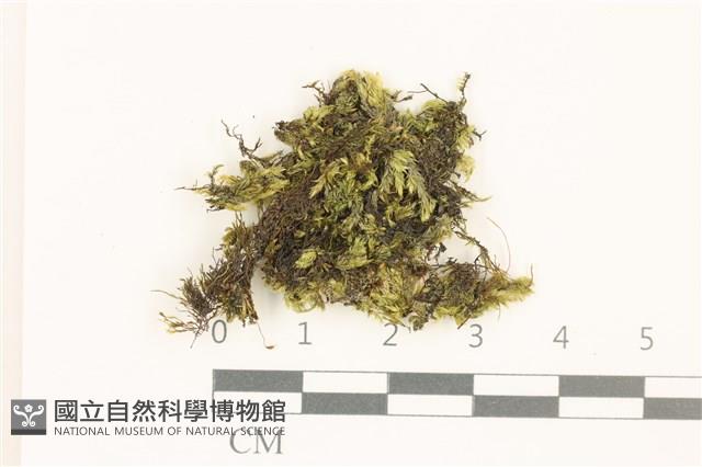 登錄號:B00004106藏品圖，第1張