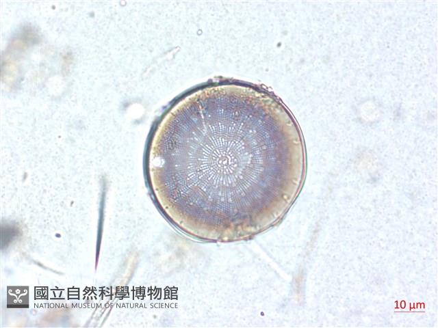 登錄號:A00004506藏品圖，第4張