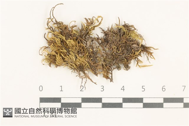 登錄號:B00012406藏品圖，第1張