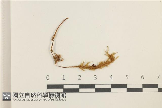 登錄號:B00018406藏品圖，第1張