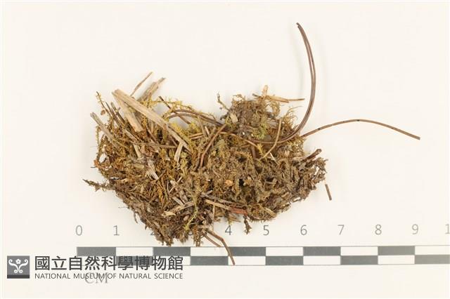 登錄號:B00016406藏品圖，第1張